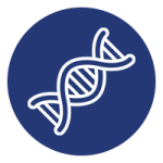 dna-kruh